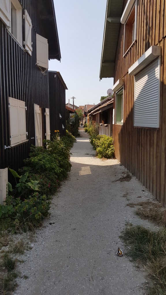 petite ruelle de sable a cap ferret pour aller a la cabane 57