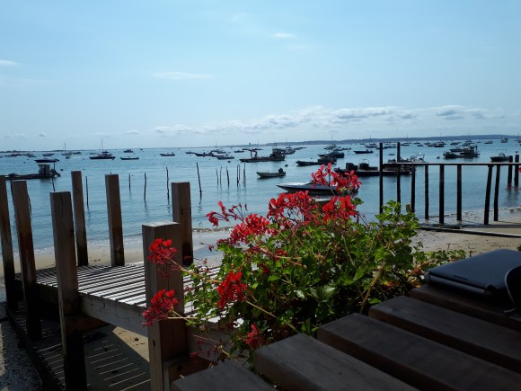 vue sur le bassin d'arcachon depuis la terasse de la cabane 57