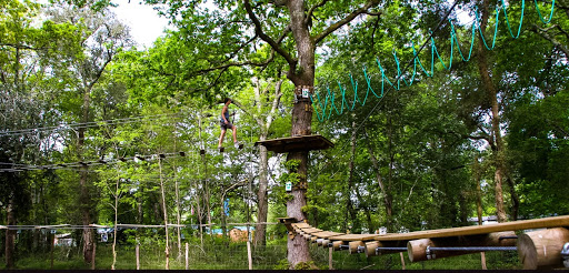circuit accrobranche dans la foret landaise pres du lac de leon dans les landes