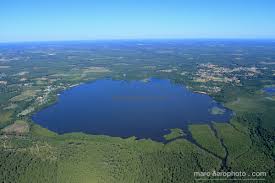 vue aerienne du lac de leon au milieu de la foret landaise au calme