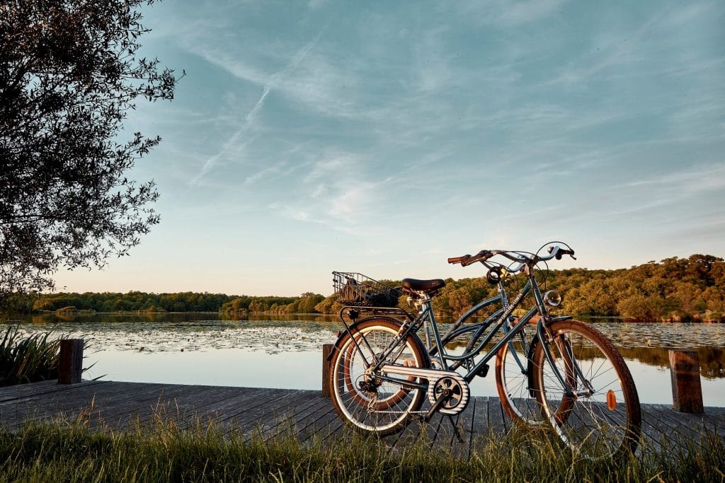velo de location à leon devant le lac de leon, endroit calme dans la foret landaise