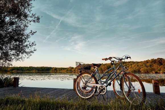 velo de location à leon devant le lac de leon, endroit calme dans la foret landaise