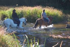balade a cheval a vielle saint girons pres de l'annexe