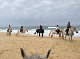 ballade a cheval sur l'ocean pres de l'annexe